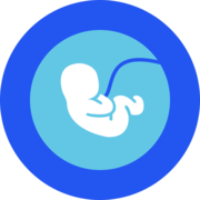 category icon